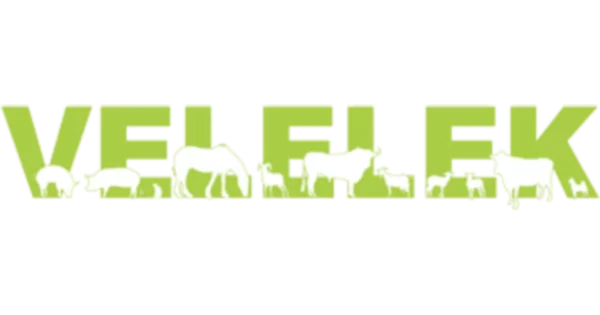 Velelek